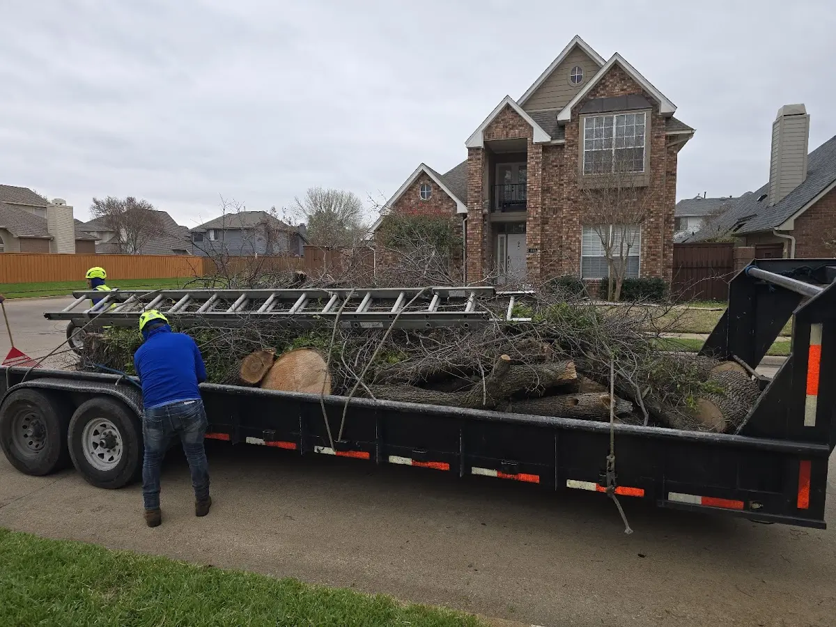 Expert Tree Fertilization with proper safety equipment in Delbarton